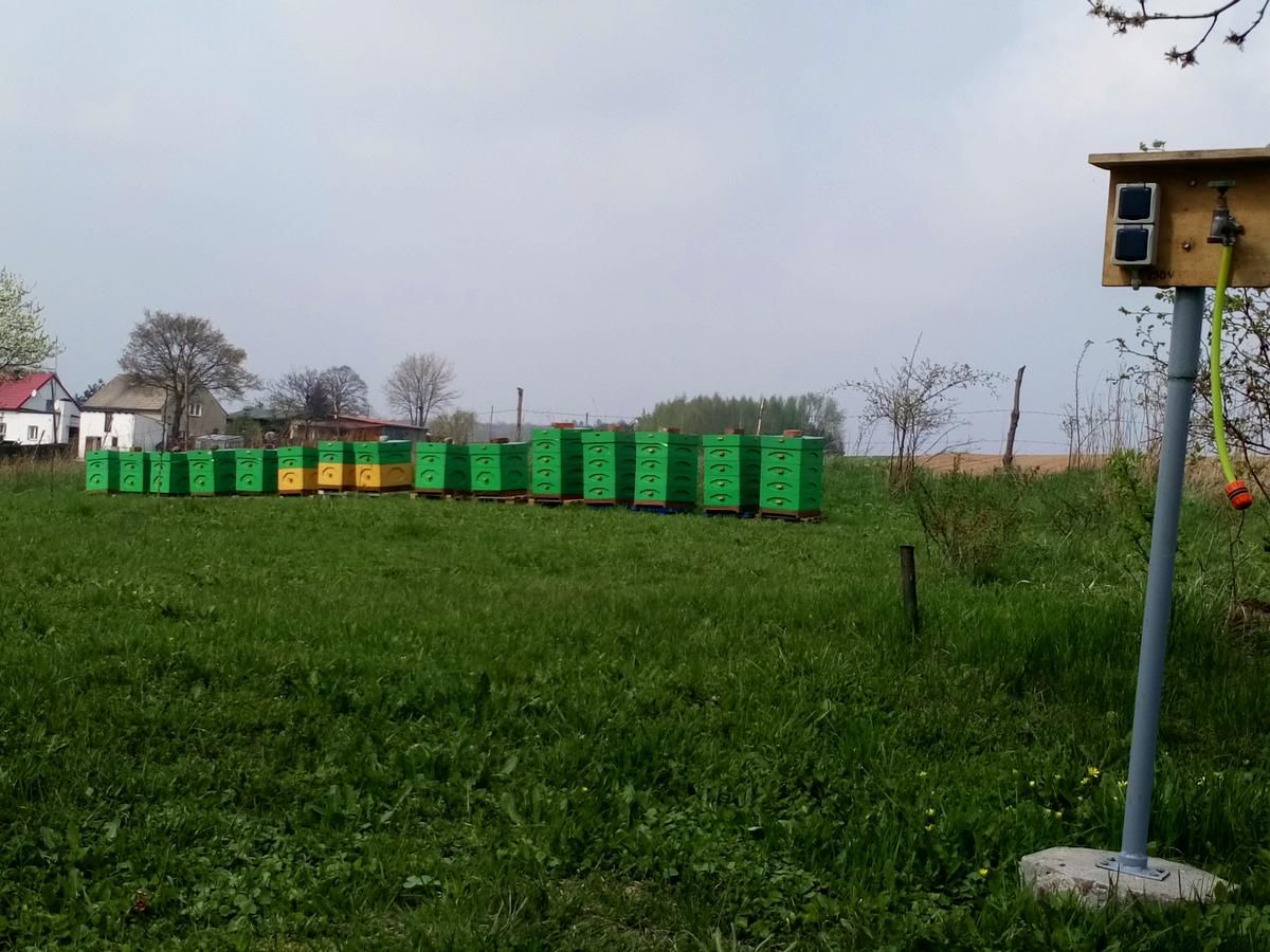 Фермерские дома Agroturystyka u Krakusa Doboszowice-33