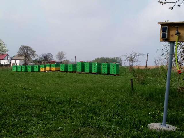 Фермерские дома Agroturystyka u Krakusa Doboszowice-32